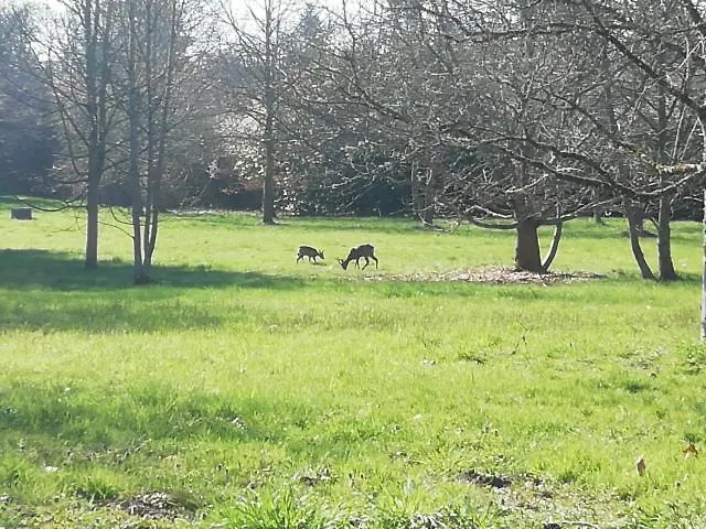 Le Bonheur Du Perigord - D'hote Mialet (Dordogne)